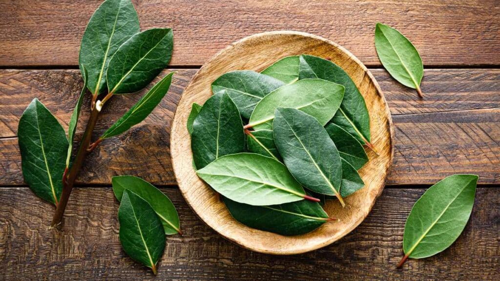 how to manifest with bay leaves
